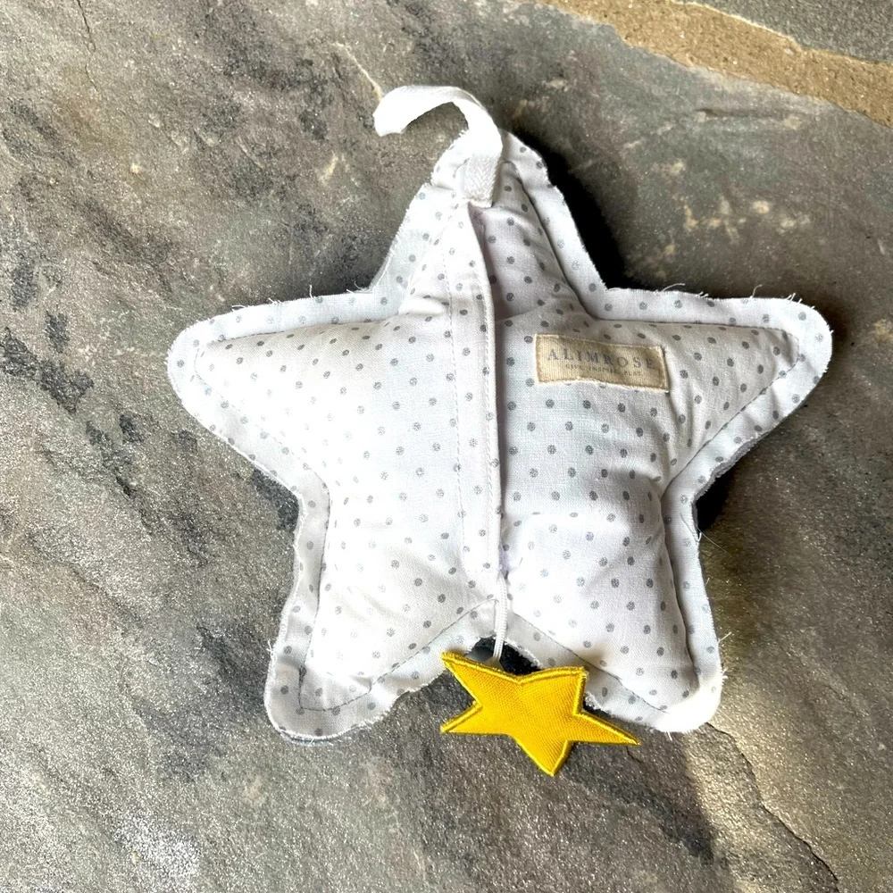New🌟Musical Star Toy